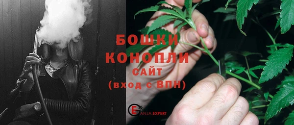 гидра Абаза
