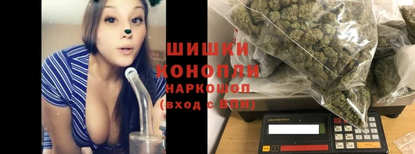 гидра Абаза