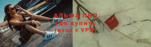 индика Нягань