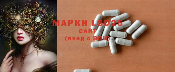 индика Нягань