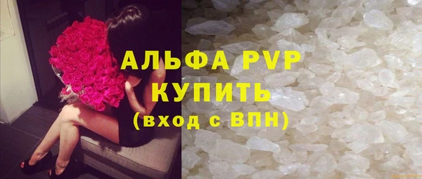 индика Нягань