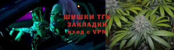 индика Нягань