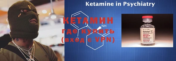 индика Нягань