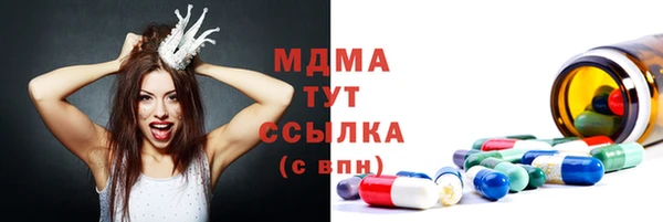 индика Нягань