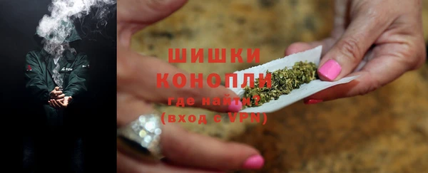 индика Нягань