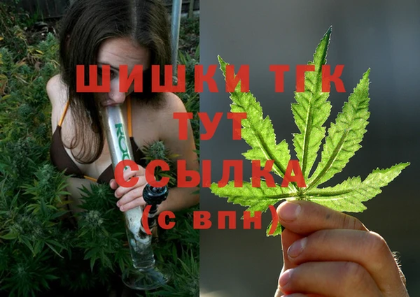 индика Нягань