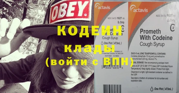 индика Нягань
