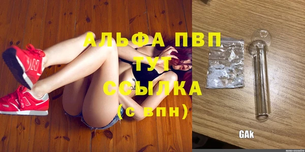 индика Нягань