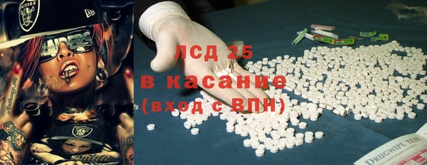 индика Нягань