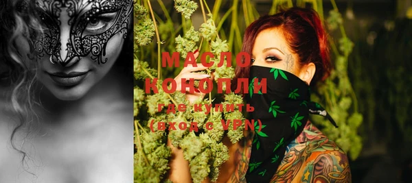 индика Нягань