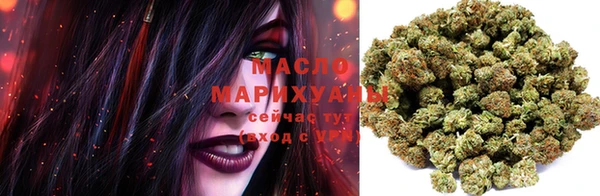 индика Нягань