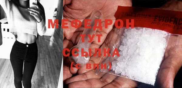 индика Нягань