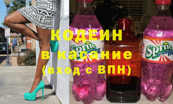 индика Нягань