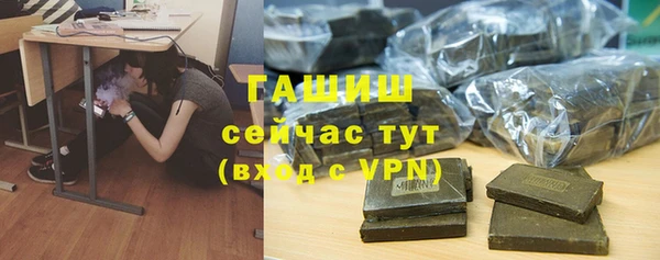 индика Нягань