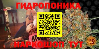 дистиллят марихуана Будённовск