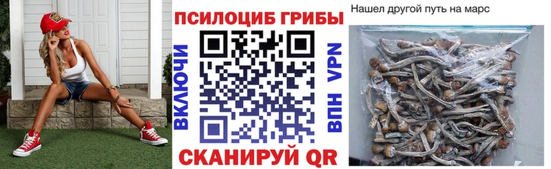 Псилоцибиновые грибы MAGIC MUSHROOMS  Губаха 