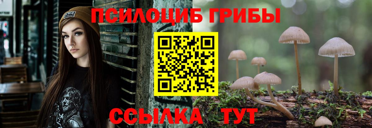 Галлюциногенные грибы мухоморы  даркнет сайт  Губаха  Вход с VPN  Псилоцибиновые грибы MAGIC MUSHROOMS 