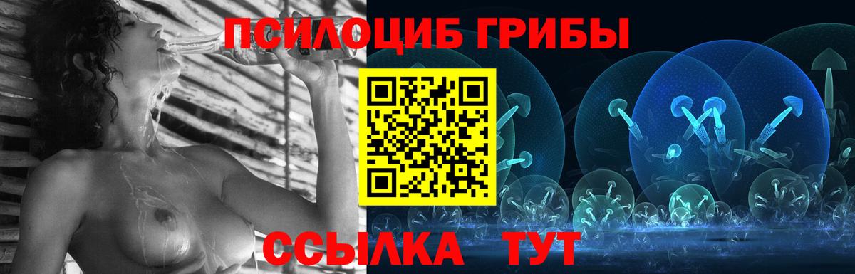 Галлюциногенные грибы Psilocybe  Губаха  Псилоцибиновые грибы Cubensis 