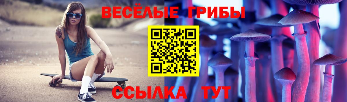 Галлюциногенные грибы Psilocybe Губаха