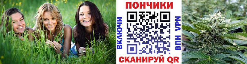 Бошки марихуана ГИДРОПОН блэк спрут зеркало Губаха цены